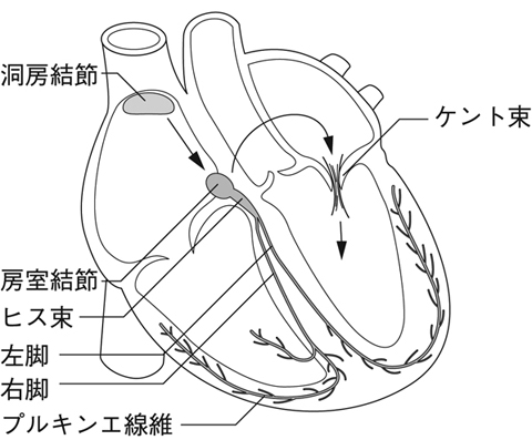 病気事典の図表