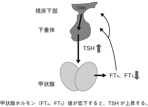 病気事典の図表