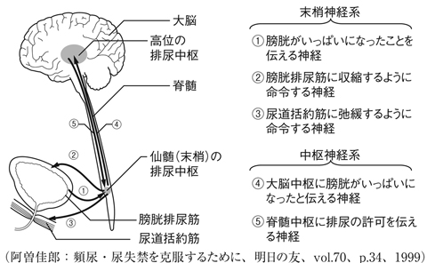 病気事典の図表