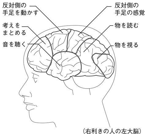 病気事典の図表