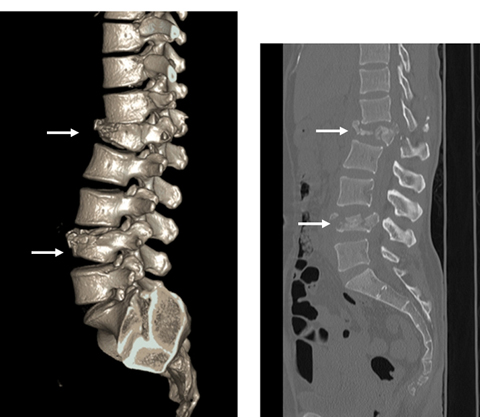病気事典の図表