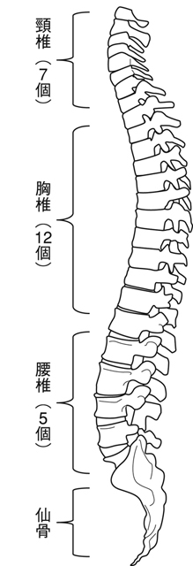 病気事典の図表