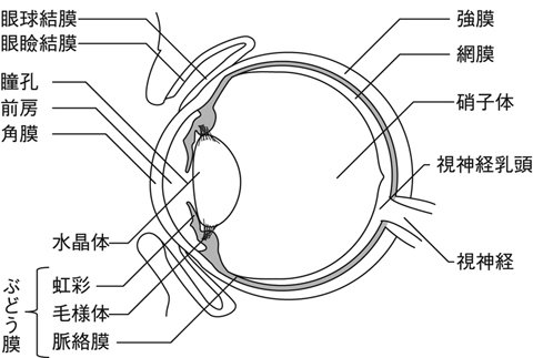 病気事典の図表