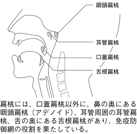 病気事典の図表