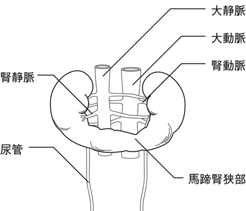 病気事典の図表