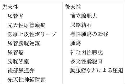 病気事典の図表