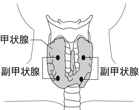 病気事典の図表