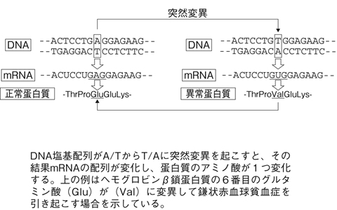 病気事典の図表