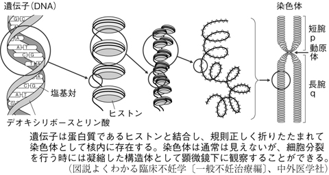 病気事典の図表