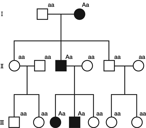 病気事典の図表