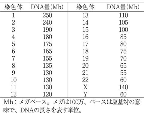 病気事典の図表