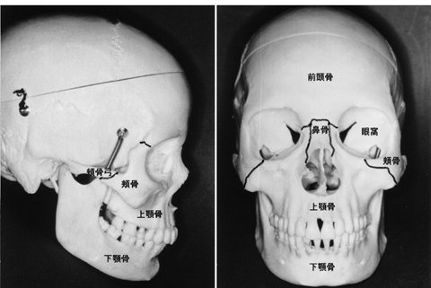 病気事典の図表