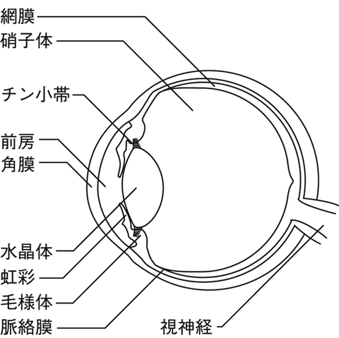 病気事典の図表