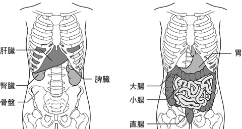 病気事典の図表