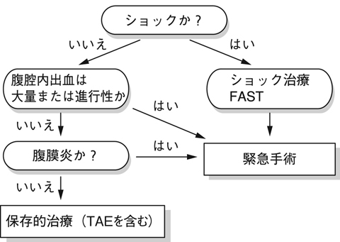 病気事典の図表