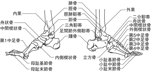 病気事典の図表