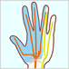 手指の痛み - 変形性関節症